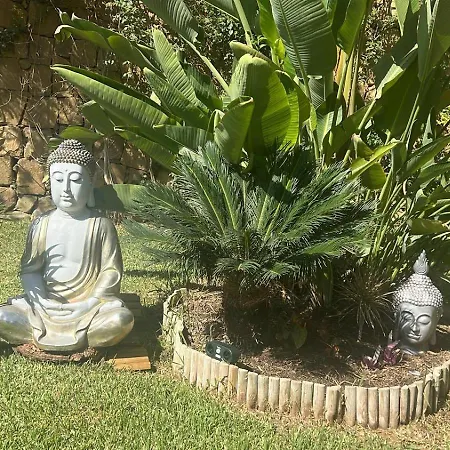 Buddha Baviera Golf *